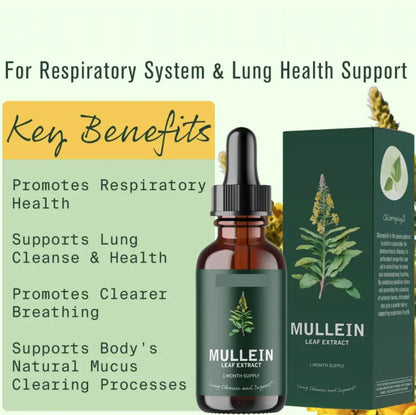 Mullein Leaf Extract Drops